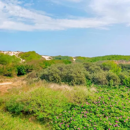 Beautiful In With Kitchen 別荘 *